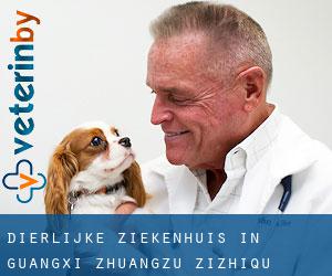 Dierlijke ziekenhuis in Guangxi Zhuangzu Zizhiqu Dierlijke ziekenhuis in Guangxi Zhuangzu Zizhiqu
