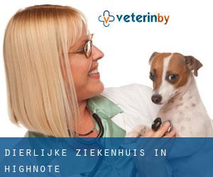 Dierlijke ziekenhuis in Highnote Dierlijke ziekenhuis in Highnote