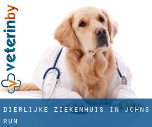 Dierlijke ziekenhuis in Johns Run