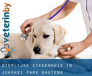 Dierlijke ziekenhuis in Jukskei Park (Gauteng)