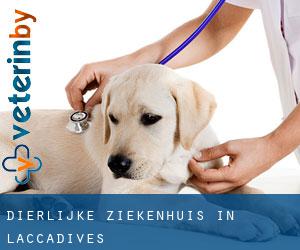 Dierlijke ziekenhuis in Laccadives Dierlijke ziekenhuis in Laccadives