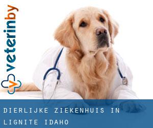 Dierlijke ziekenhuis in Lignite (Idaho)