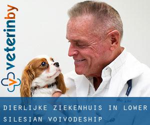 Dierlijke ziekenhuis in Lower Silesian Voivodeship Dierlijke ziekenhuis in Lower Silesian Voivodeship