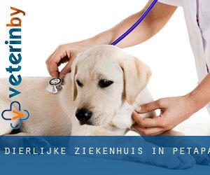Dierlijke ziekenhuis in Petapa Dierlijke ziekenhuis in Petapa