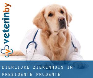Dierlijke ziekenhuis in Presidente Prudente