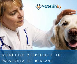 Dierlijke ziekenhuis in Provincia di Bergamo Dierlijke ziekenhuis in Provincia di Bergamo
