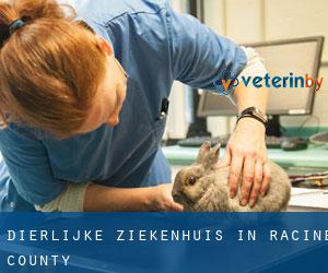 Dierlijke ziekenhuis in Racine County Dierlijke ziekenhuis in Racine County