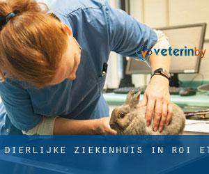 Dierlijke ziekenhuis in Roi Et Dierlijke ziekenhuis in Roi Et