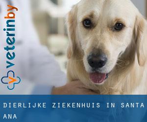Dierlijke ziekenhuis in Santa Ana Dierlijke ziekenhuis in Santa Ana