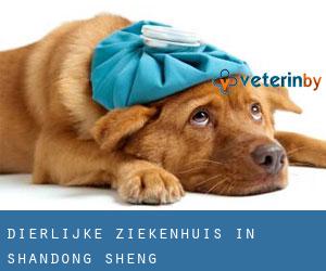 Dierlijke ziekenhuis in Shandong Sheng Dierlijke ziekenhuis in Shandong Sheng