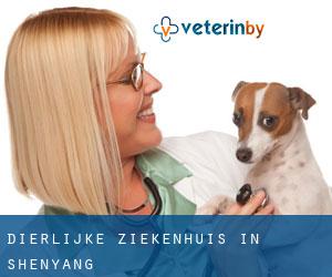 Dierlijke ziekenhuis in Shenyang Dierlijke ziekenhuis in Shenyang