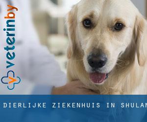 Dierlijke ziekenhuis in Shulan Dierlijke ziekenhuis in Shulan