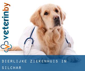 Dierlijke ziekenhuis in Silchar Dierlijke ziekenhuis in Silchar