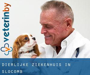 Dierlijke ziekenhuis in Slocomb Dierlijke ziekenhuis in Slocomb