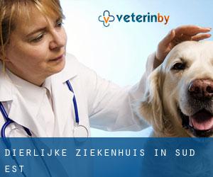 Dierlijke ziekenhuis in Sud-Est Dierlijke ziekenhuis in Sud-Est