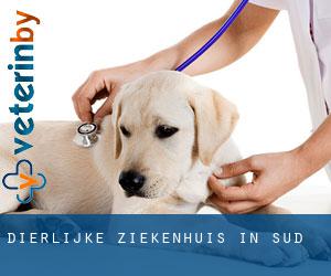 Dierlijke ziekenhuis in Sud Dierlijke ziekenhuis in Sud