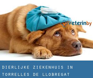 Dierlijke ziekenhuis in Torrelles de Llobregat Dierlijke ziekenhuis in Torrelles de Llobregat