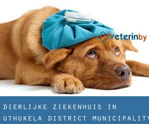 Dierlijke ziekenhuis in uThukela District Municipality door provinciehoofdstad - pagina 1