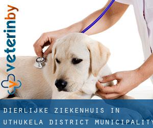 Dierlijke ziekenhuis in uThukela District Municipality