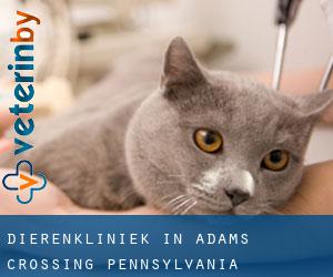 Dierenkliniek in Adams Crossing (Pennsylvania)