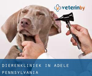 Dierenkliniek in Adele (Pennsylvania)