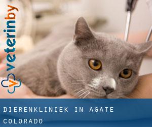 Dierenkliniek in Agate (Colorado)