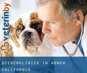 Dierenkliniek in Agnew (California)