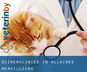 Dierenkliniek in Allaines-Mervilliers