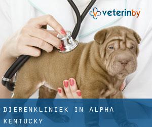 Dierenkliniek in Alpha (Kentucky)