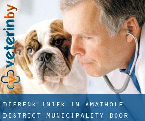 Dierenkliniek in Amathole District Municipality door wereldstad - pagina 2