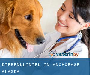 Dierenkliniek in Anchorage (Alaska)