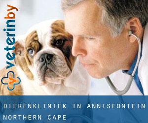 Dierenkliniek in Annisfontein (Northern Cape)