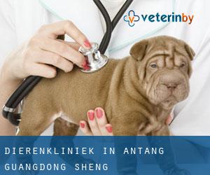 Dierenkliniek in Antang (Guangdong Sheng)
