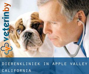 Dierenkliniek in Apple Valley (California)
