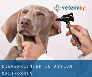 Dierenkliniek in Asylum (California)