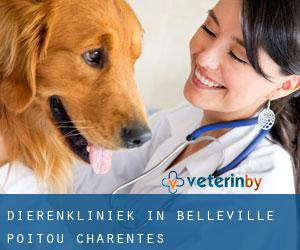 Dierenkliniek in Belleville (Poitou-Charentes)