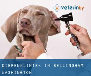 Dierenkliniek in Bellingham (Washington)