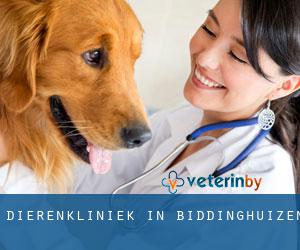 Dierenkliniek in Biddinghuizen