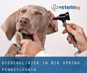 Dierenkliniek in Big Spring (Pennsylvania)