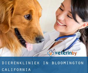 Dierenkliniek in Bloomington (California)