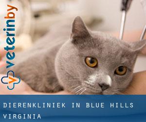 Dierenkliniek in Blue Hills (Virginia)