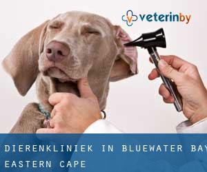 Dierenkliniek in Bluewater Bay (Eastern Cape)