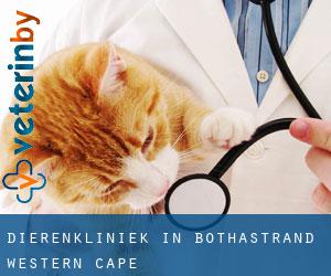 Dierenkliniek in Bothastrand (Western Cape)