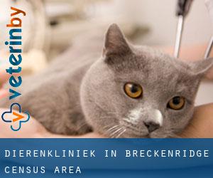 Dierenkliniek in Breckenridge (census area)