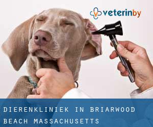 Dierenkliniek in Briarwood Beach (Massachusetts)