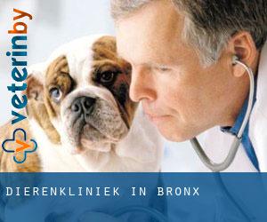 Dierenkliniek in Bronx