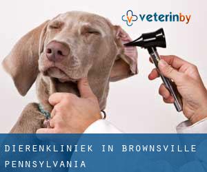 Dierenkliniek in Brownsville (Pennsylvania)