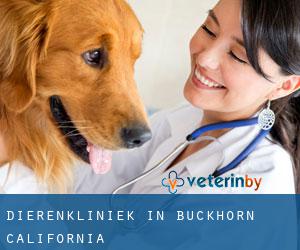 Dierenkliniek in Buckhorn (California)
