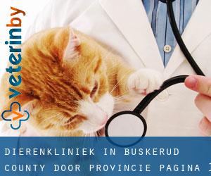 Dierenkliniek in Buskerud county door Provincie - pagina 1