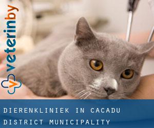 Dierenkliniek in Cacadu District Municipality